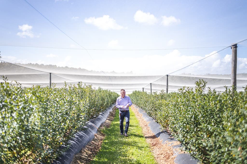 Acumentis Property Valuers - Coffs Harbour