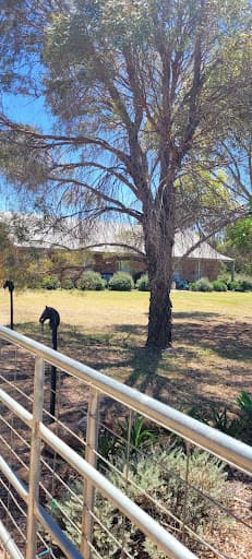 LJ Hooker Narromine — Customer photo