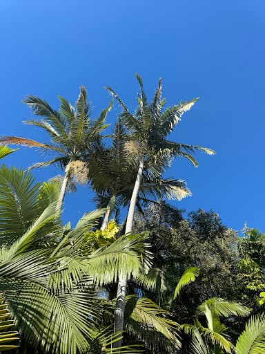 Sunshine Beach Real Estate — Customer photo