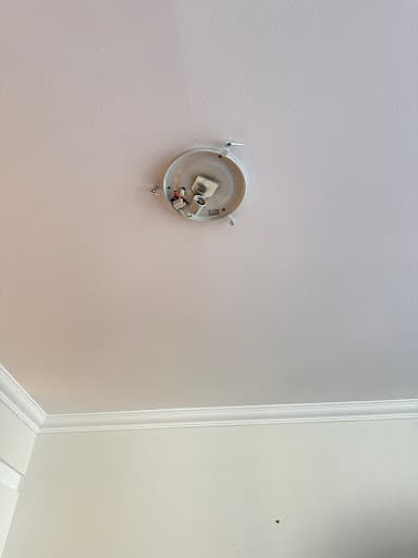 Vanguarde Estate Agents — Customer photo