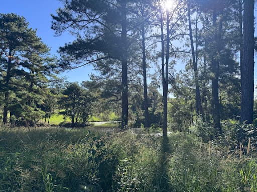 Your Property Co. — Customer photo