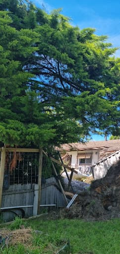 Independent Property Group — Customer photo