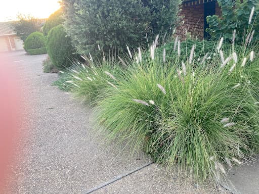 PRD Real Estate Wagga Wagga — Customer photo